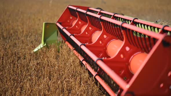 Combine harvester, agriculture machine harvesting golden soybean field