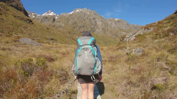 Hiker walks along boardwalk through alpine landscape, Routeburn Track New Zealand