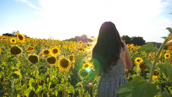 Happy Carefree Woman Running Through Sunflowers Field with Bright Sunlight at Background