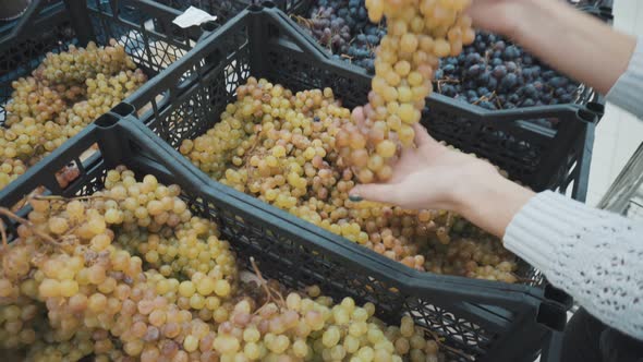 A girl chooses a white grape at the market