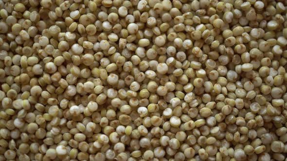 Rotation Macro Quinoa Seeds