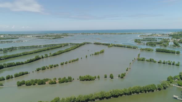 Town Among the Water in Mangroves