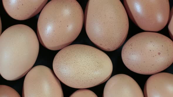 Brown Eggs Rotational Background 