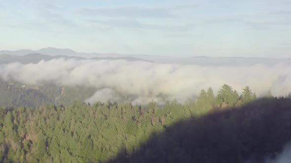 Passing over a ridge as low clouds from the Pacific Ocean roll in over a hilly forest on the west co