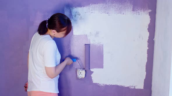 Close Up of Unrecognizable Person Painting Wall in Purple Colour with Roller