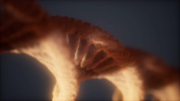 Loop Double Helical Structure of Dna Strand Closeup Animation