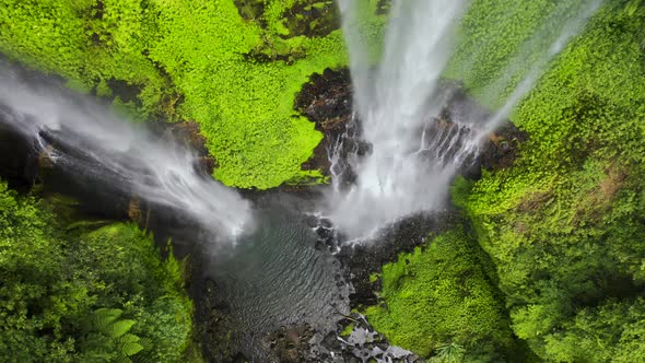 Jungle Rainforest at the Argentina Side of Iguazu Waterfall. Aerial View 