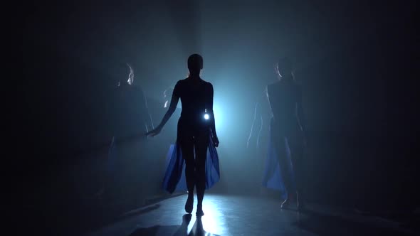 Silhouettes of Ballerinas Dancing Modern Ballet. Slow Motion