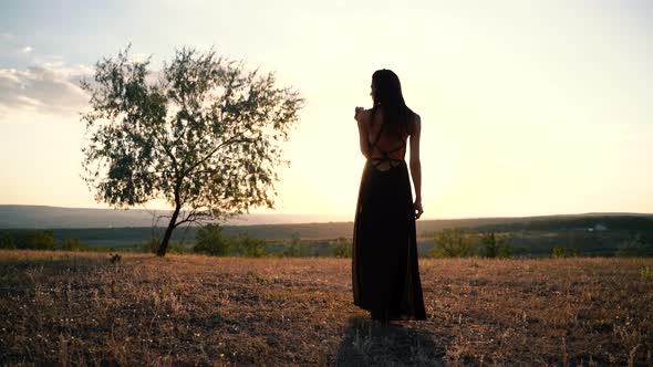 Rear View of a Beautiful Brunette Model in Long Black Dress Going Towards the Sun