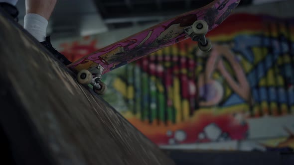 Sporty Skater Start Riding on Skateboard in Ramp at Skate Park with Graffiti
