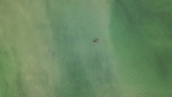 Aerial view of a sunken object in the bay, Unalaska, Alaska, United States. alt