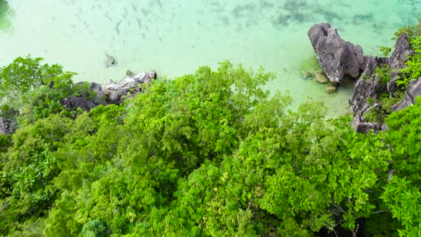 Nature Landscape: Sandy Tropical Beach with Crystal Clear Sea. Rocks and Tropical Beach in Caramoan