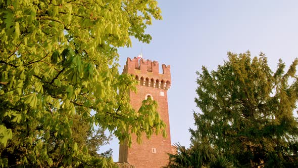 Green Trees with Lush Branches Grow Against Lazise Castle