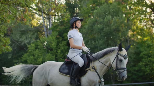 Horseback Riding From Women on Her Horse