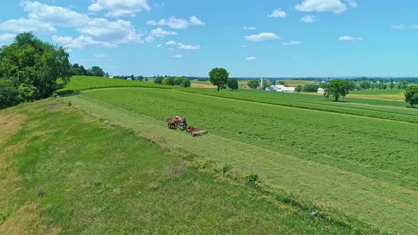 Aerial View of an Amish Farmer with Three Horses Harvesting His Crops