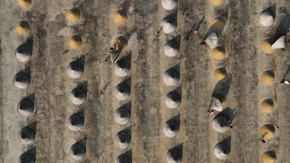 Aerial view of people working in a rice field in Sarail, Chittagong, Bangladesh.