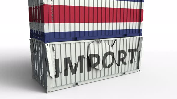 Container with Flag of Costa Rica Breaking Container with IMPORT Text alt