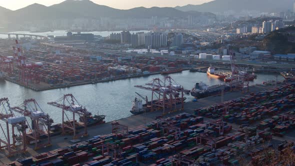 Timelapse Harbour of Busan with Cranes Loading Cargo Ships
