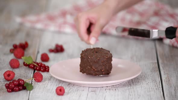 Putting Chocolate Ice Cream on a Pink Plate