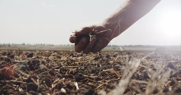 Farmer Hands Holds a Handful of Soil and Pouring It Back Through His Fingers on the Field in Sunny