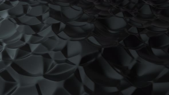 Abstract background with black cells structure surface