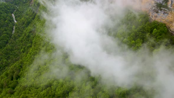 Through the clouds in the mountain forest