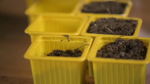 gardener in gloves pours soil with fertilizers into pot with spatula. close-up