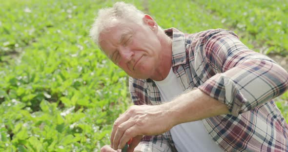 Mature man working on farm