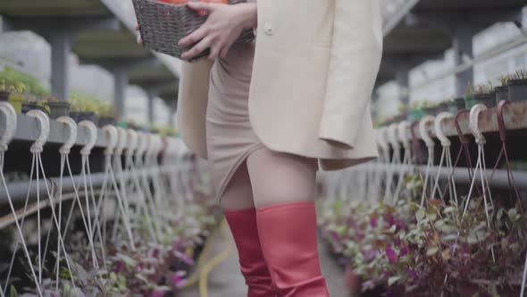 Brunette Caucasian Woman Holding Vegetable Basket and Looking at Camera. Lady in Red Thigh High