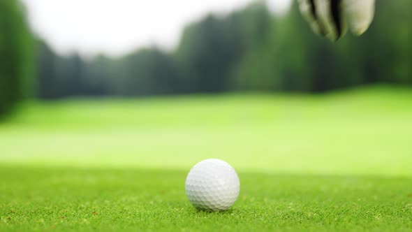 Man in glove picking up golf ball on the grass