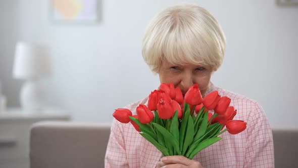 Happy Elderly Woman Sniffing Bunch of Tulips and Smiling at Camera, Mothers Day