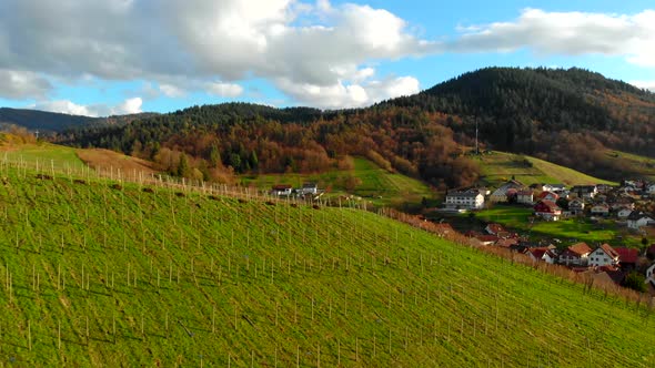 Aerial Video of Green Hills From a Slope with a Clipped Vineyard To White Houses