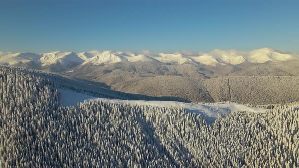 Aerial view of winter landscape with mountain hills covered with evergreen pine forest after