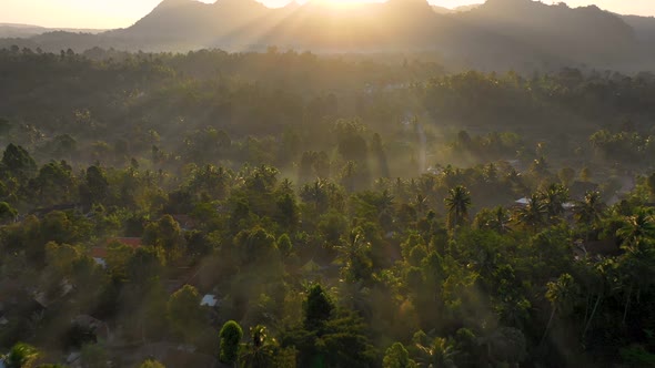 Aerial view of a scenic sunset over a dense forest near a mountain, Indonesia.