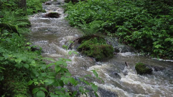 Wild river Doubrava in Czech Republic. 