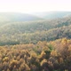 Forest and Sunlight  - VideoHive Item for Sale