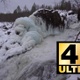 Amazing Winter Waterfall On The River Shuoniyoki - VideoHive Item for Sale