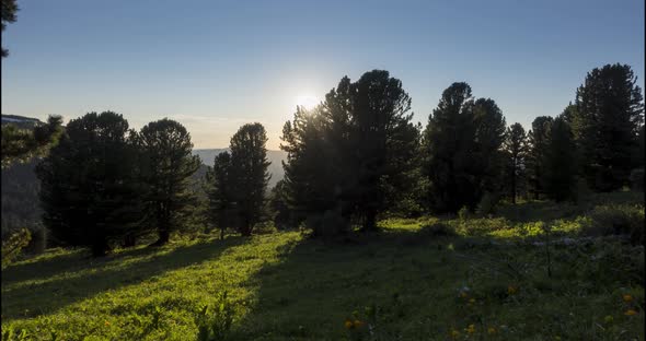 Mountain Meadow Timelapse