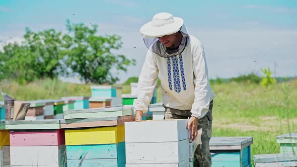 a beekeeper in protective clothing holds a frame with honeycombs for bees in the garden i