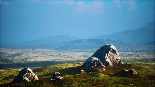 Big Stones in Grass Field