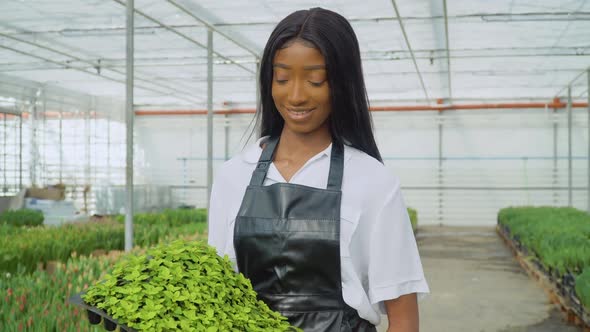 Beautiful Young African American Girl in a White Shirt and a Black Leather Apron Stands Holding