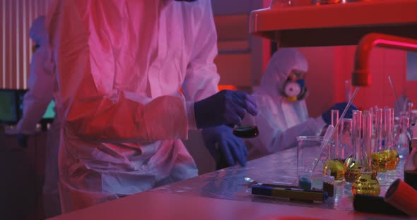 Scientists Sitting and Working in Laboratory