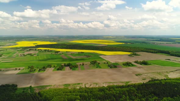Flight Over the Landscapes of Ukrainian Fields and Forests