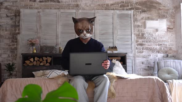 A freak man in a cat mask works remotely at home on a laptop