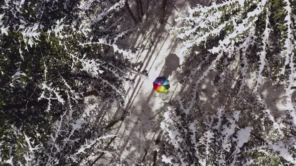 Rotating a rainbow colored umbrella in the middle of a white forest, top down shot of a drone throug