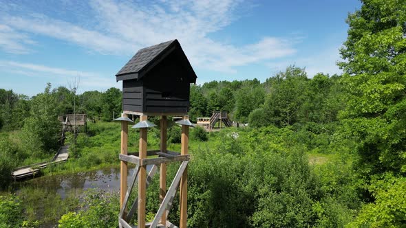 Bat conservation house maternity roost in forest, summer day, descending shot