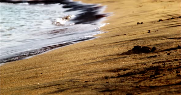 Sunny day at the beach