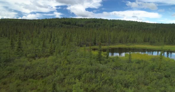 Aerial Move Over the Forest Towards the Clearing with a Small Lake on It