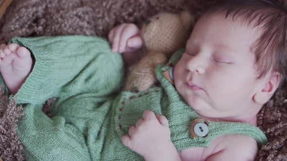 Close-up portrait of a young baby who has recently been born.