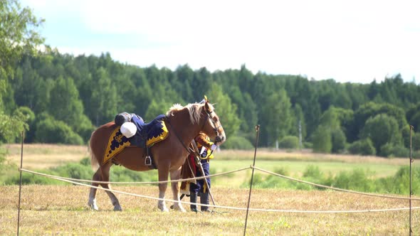 Cavalryman and horse.